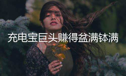 充電寶巨頭賺得盆滿缽滿，揭秘其成功背后的故事