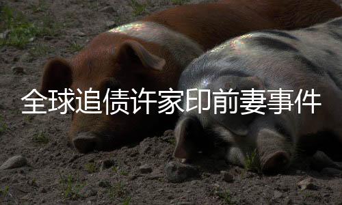 全球追債許家印前妻事件