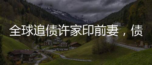 全球追債許家印前妻，債務(wù)糾紛背后的復(fù)雜故事