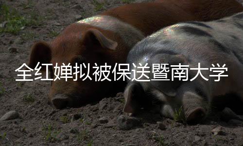 全紅嬋擬被保送暨南大學(xué)，奧運冠軍續(xù)寫傳奇