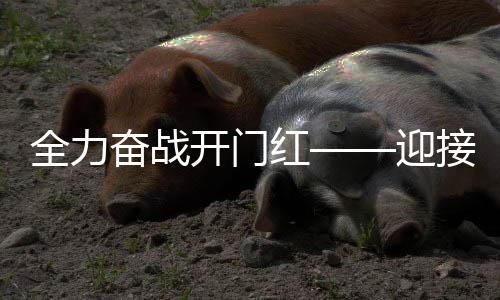 全力奮戰(zhàn)開門紅——迎接開門紅，開啟新征程