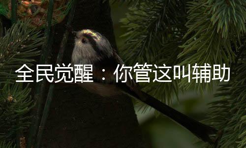 全民覺醒：你管這叫輔助系？