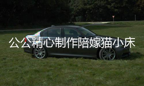 公公精心制作陪嫁貓小床，溫馨家居中的愛(ài)心一角