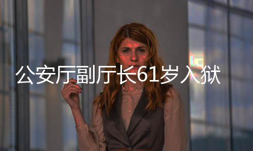 公安廳副廳長61歲入獄，自我監(jiān)督與法治精神的體現(xiàn)