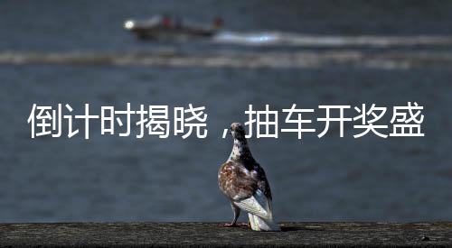 倒計(jì)時(shí)揭曉，抽車開獎(jiǎng)盛宴即將開啟！