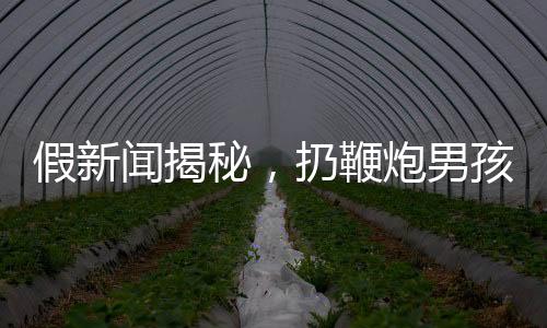 假新聞揭秘，扔鞭炮男孩家屬追責(zé)九部門事件真相調(diào)查