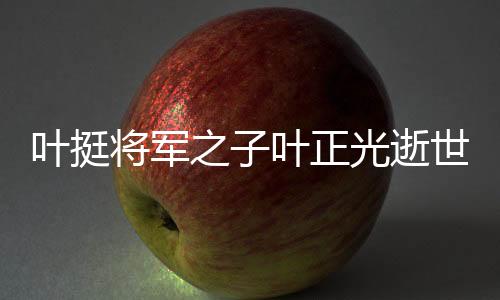 葉挺將軍之子葉正光逝世，一代英才的離去