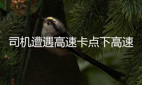 司機(jī)遭遇高速卡點(diǎn)下高速失敗，意外支付高額費(fèi)用