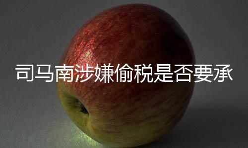 司馬南涉嫌偷稅是否要承擔(dān)刑事責(zé)任？深入解讀相關(guān)議題