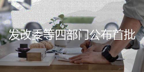 發(fā)改委等四部門公布首批車網(wǎng)互動規(guī)?；瘧?yīng)用試點(diǎn)名單