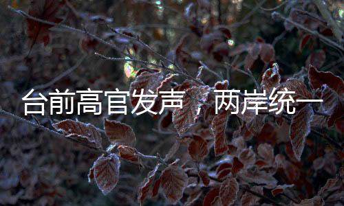 臺(tái)前高官發(fā)聲，兩岸統(tǒng)一的時(shí)刻越來越近