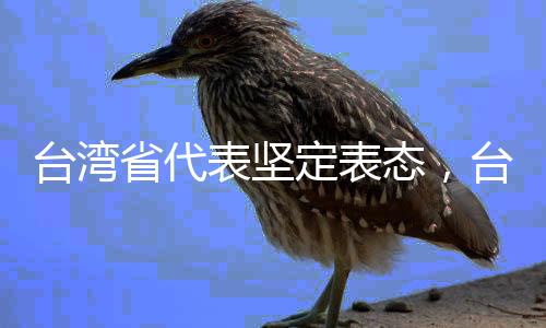 臺(tái)灣省代表堅(jiān)定表態(tài)，臺(tái)灣的最大靠山就是祖國(guó)