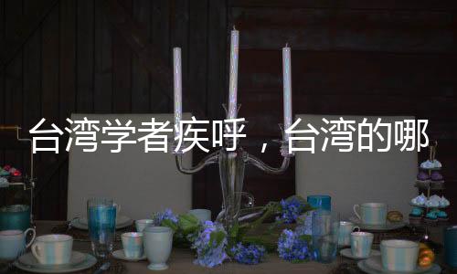 臺(tái)灣學(xué)者疾呼，臺(tái)灣的哪吒在哪里