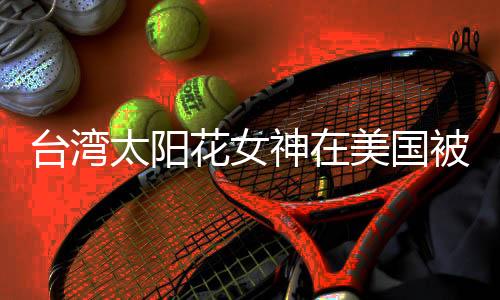 臺(tái)灣太陽(yáng)花女神在美國(guó)被捕，涉嫌政治活動(dòng)與網(wǎng)絡(luò)安全犯罪活動(dòng)相關(guān)事件深度解讀