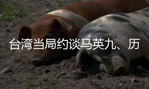 臺灣當(dāng)局約談馬英九、歷史與未來的交匯點
