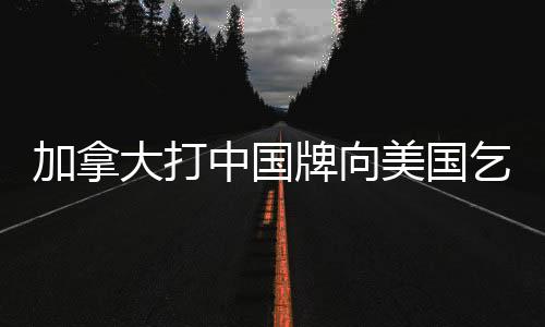 加拿大打中國(guó)牌向美國(guó)乞憐，背后的復(fù)雜因素與影響分析