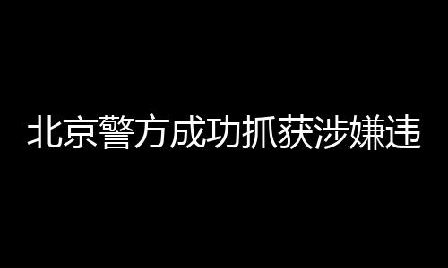 北京警方成功抓獲涉嫌違法演員王某，引發(fā)社會(huì)關(guān)注