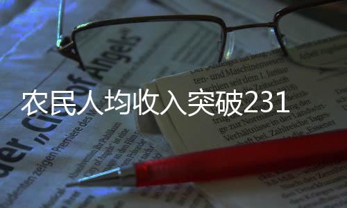 農(nóng)民人均收入突破23119元，農(nóng)村繁榮與持續(xù)發(fā)展的十大亮點解讀
