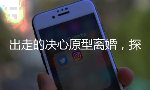 出走的決心原型離婚，探尋背后的故事與挑戰(zhàn)