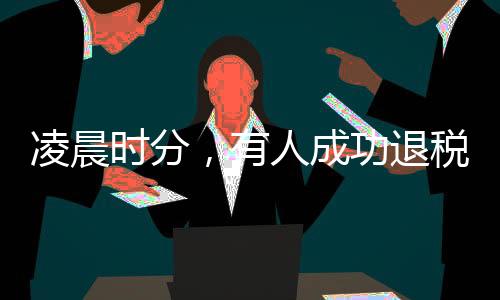 凌晨時分，有人成功退稅五萬多元，稅務部門揭曉背后故事