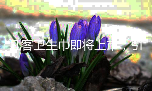 凡客衛(wèi)生巾即將上市，引領(lǐng)個人護理新篇章