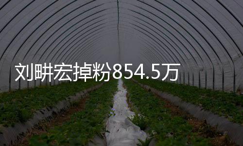 劉畊宏掉粉854.5萬事件深度解析