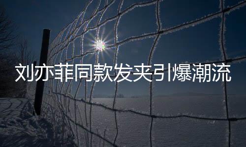 劉亦菲同款發(fā)夾引爆潮流熱潮
