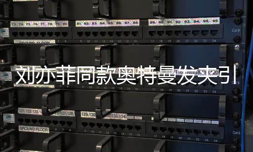 劉亦菲同款?yuàn)W特曼發(fā)夾引爆潮流熱潮