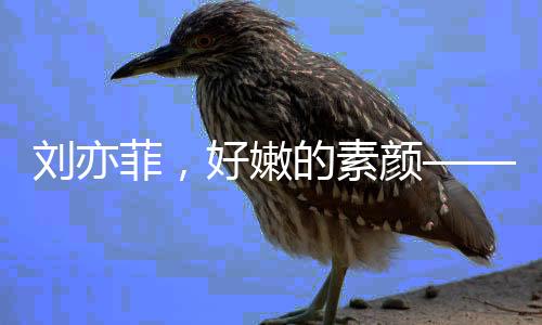劉亦菲，好嫩的素顏——一名時代的寵兒全方位解讀