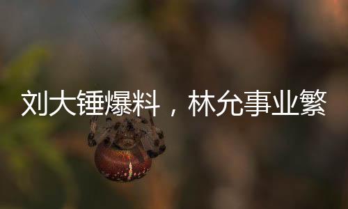 劉大錘爆料，林允事業(yè)繁忙，暫無懷孕計(jì)劃