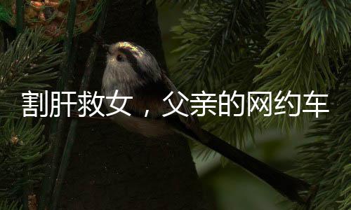 割肝救女，父親的網(wǎng)約車承載無盡愛與擔(dān)當(dāng)