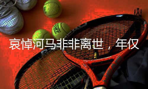 哀悼河馬非非離世，年僅28歲，生命隕落的背后引發(fā)深思