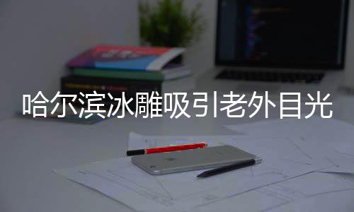 哈爾濱冰雕吸引老外目光，神秘藝術(shù)穿越異國界限