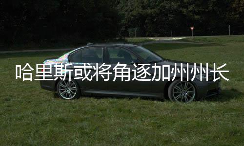 哈里斯或?qū)⒔侵鸺又葜蓍L一職