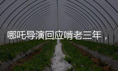 哪吒導演回應啃老三年，創(chuàng)新與傳承并存，匠心之作背后的故事