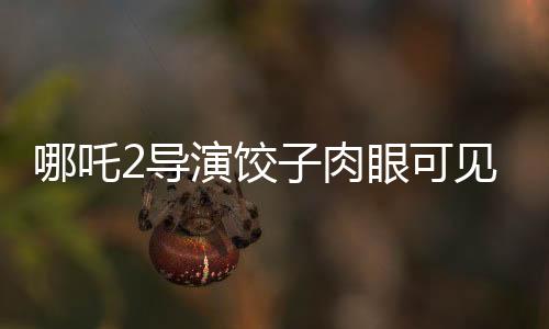 哪吒2導(dǎo)演餃子肉眼可見變老，創(chuàng)作之路上的辛勤與堅(jiān)韌