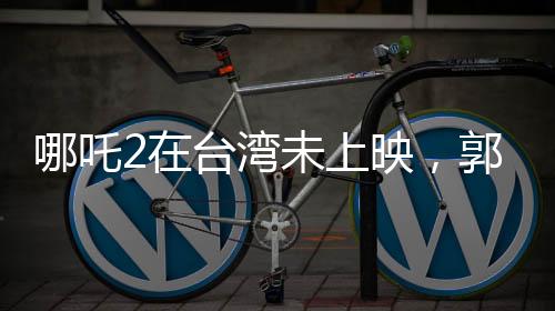 哪吒2在臺(tái)灣未上映，郭正亮教你如何觀看——深度解析與期待
