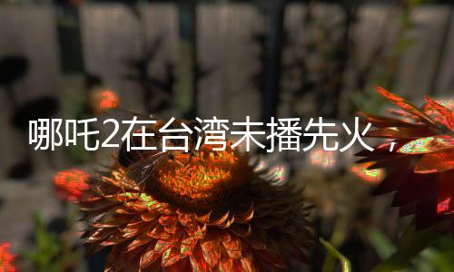 哪吒2在臺灣未播先火，期待與熱議交織的魔法