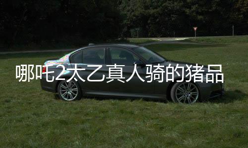 哪吒2太乙真人騎的豬品種揭秘，神秘生物引發(fā)影迷熱議