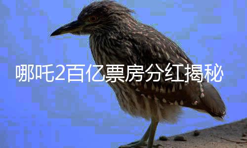 哪吒2百億票房分紅揭秘，一部影片的成功背后的經(jīng)濟分配機制