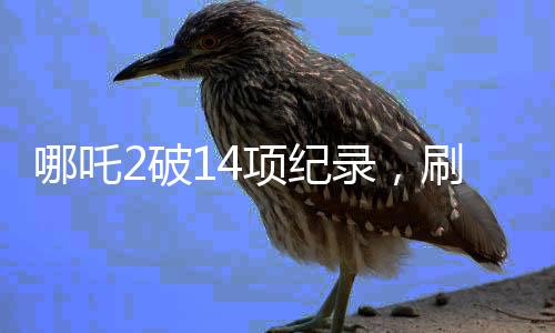 哪吒2破14項(xiàng)紀(jì)錄，刷新國產(chǎn)動(dòng)畫新高度