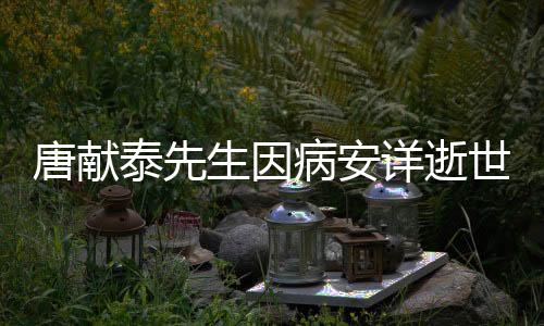 唐獻(xiàn)泰先生因病安詳逝世，享年XX歲