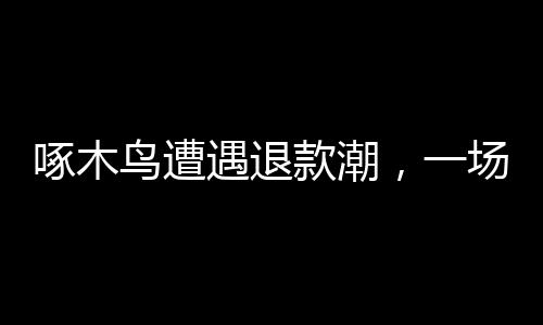啄木鳥遭遇退款潮，一場(chǎng)意外危機(jī)引發(fā)的反思
