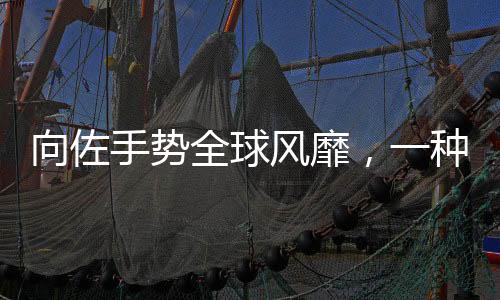 向佐手勢全球風(fēng)靡，一種文化現(xiàn)象的觀察與解讀