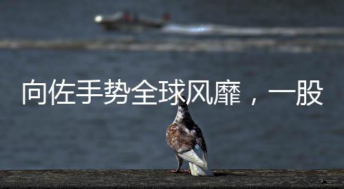 向佐手勢(shì)全球風(fēng)靡，一股新的文化潮流正在崛起