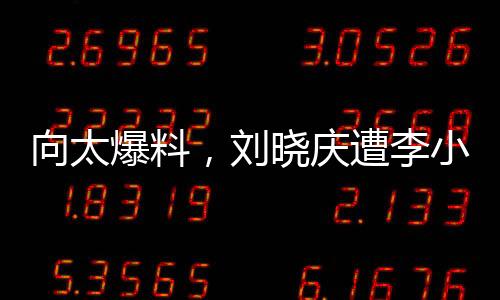 向太爆料，劉曉慶遭李小冉激烈訓斥十分鐘——事件全解析