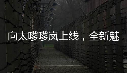 向太嗲嗲嵐上線，全新魅力展現(xiàn)，引領(lǐng)時尚潮流
