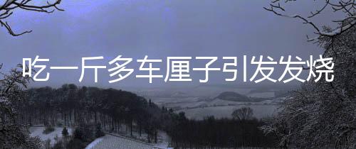 吃一斤多車?yán)遄右l(fā)發(fā)燒事件，健康飲食的重要性與合理食用水果的警示