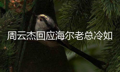 周云杰回應(yīng)海爾老總冷如冰箱，一場關(guān)于企業(yè)領(lǐng)導(dǎo)風(fēng)格的深度探討