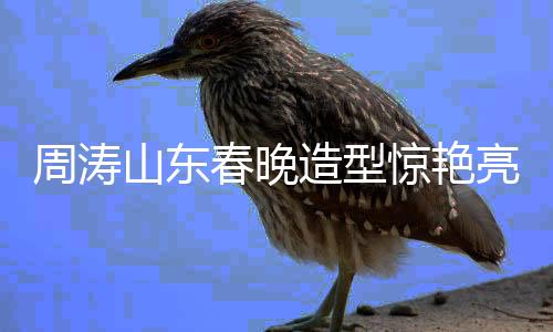 周濤山東春晚造型驚艷亮相，美輪美奐引熱議